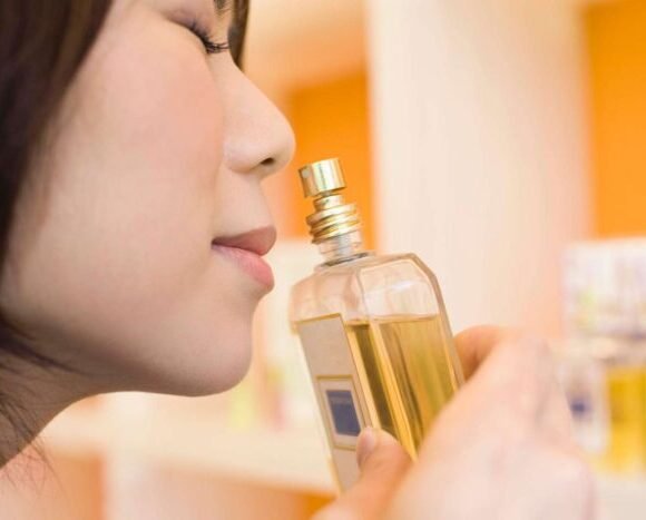 Training-Your-Nose_-The-Key-to